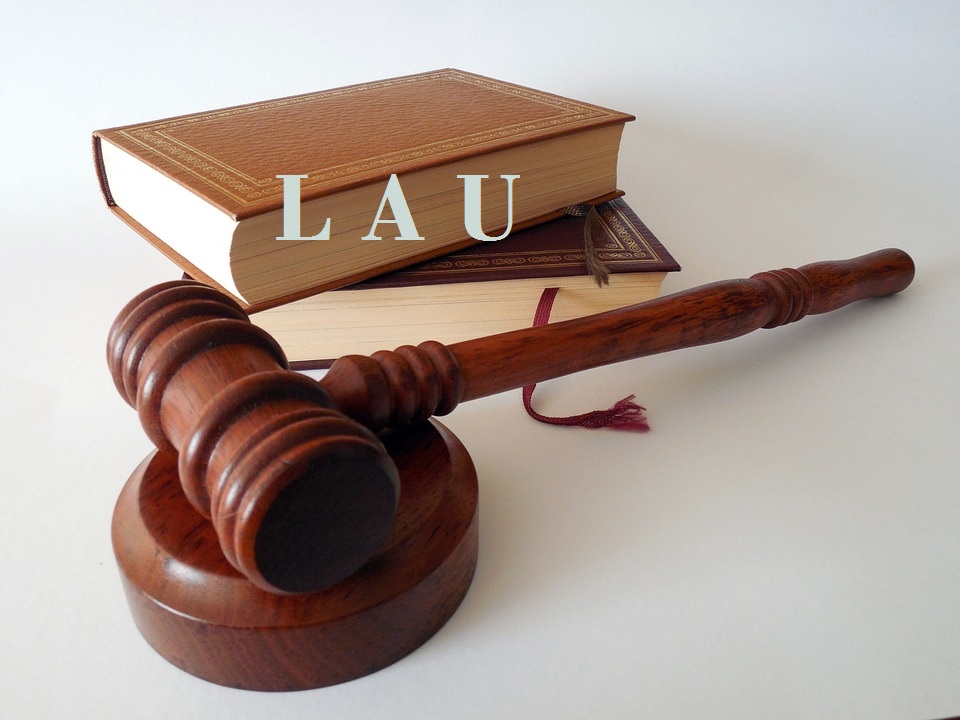 libro leyes lau OK1