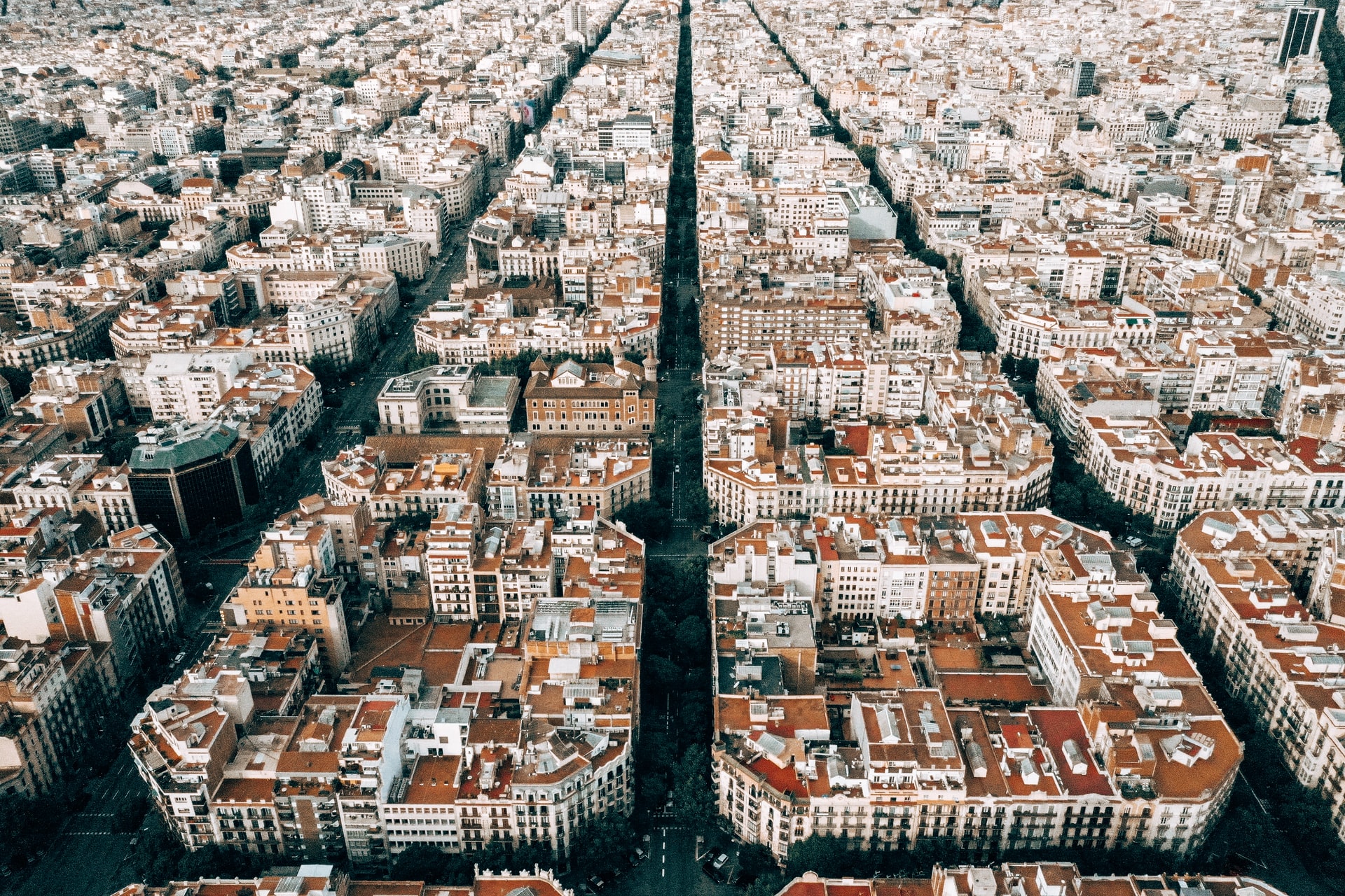 kaspars-upmanis-nD2WzCZrlLE-unsplash